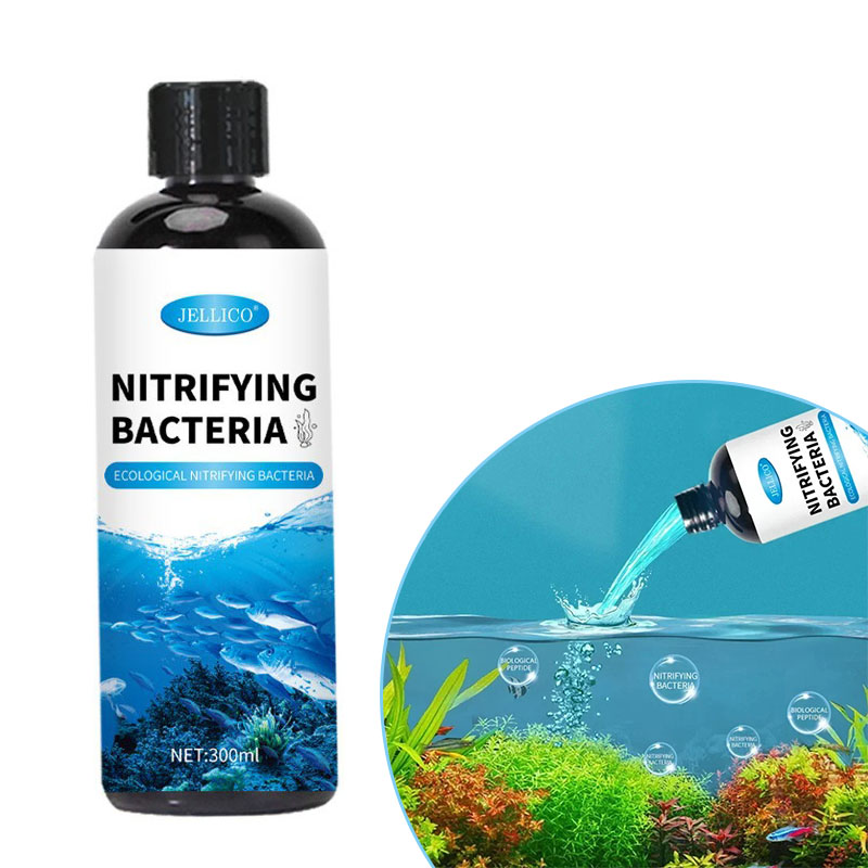 Aquarium Fish And Supplies - Nitrifikasyon Bakteri Sıvı Balık Tankı Su
