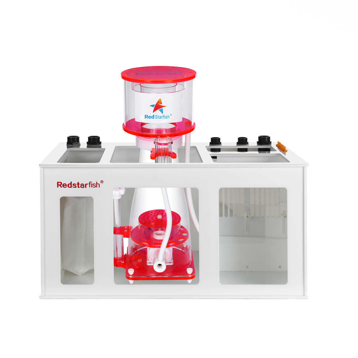 Aquarium Fish Logo - HOTRed Deniz Yıldızı OEM LOGO Tuzlu