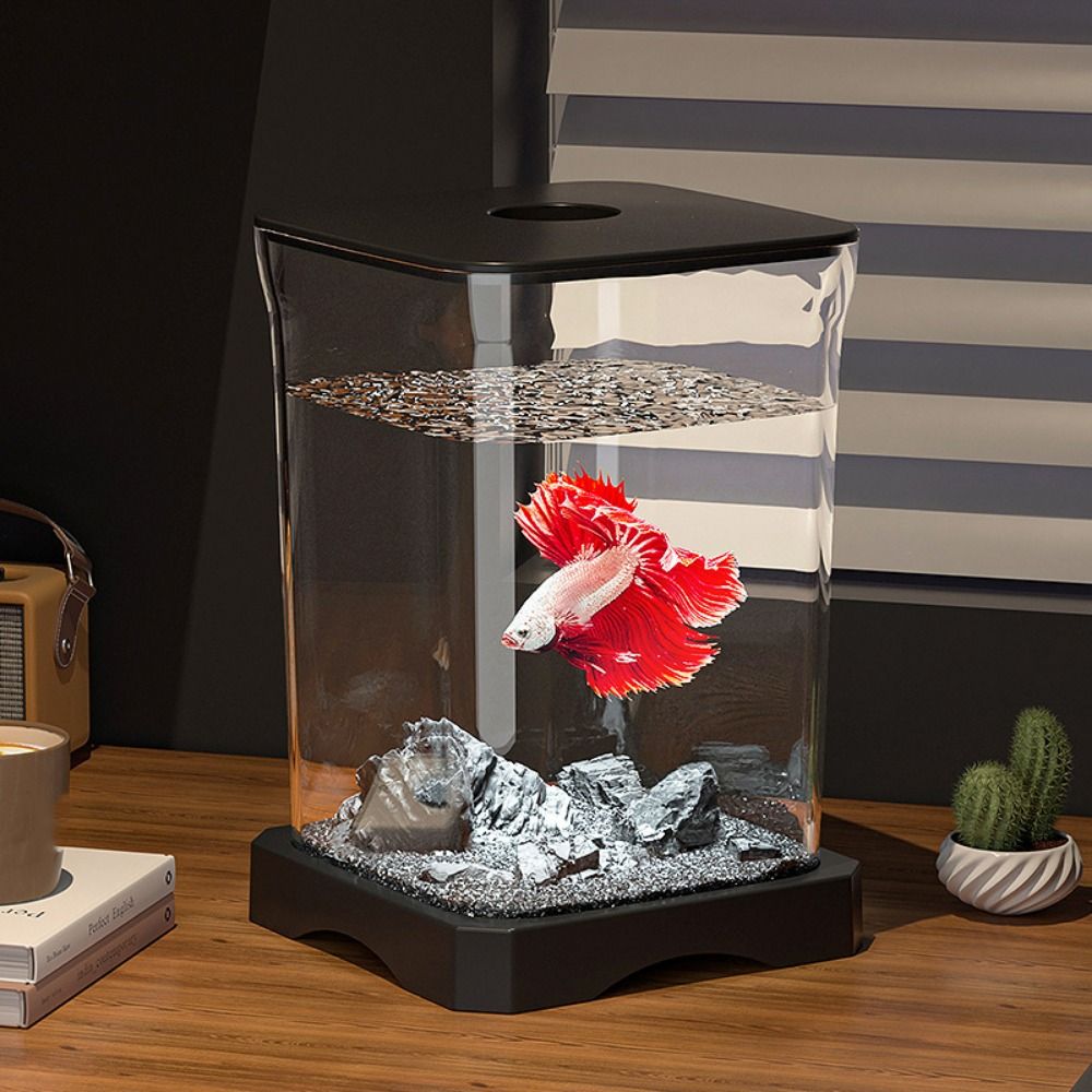 Aquarium Fish Goldfish - Akrilik Betta Balık Tankı Yüksek Şeffaflıkta
