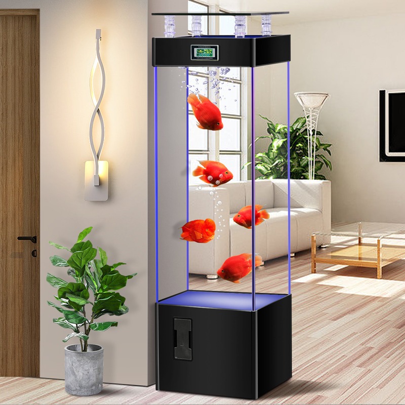 Ultra şeffaf cam balık tankı,  - Aquarium Fish Goldfish incelemesi ve fiyatı