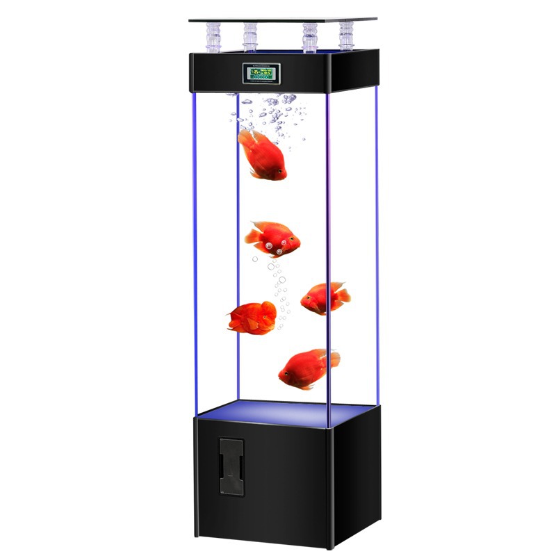 Ultra şeffaf cam balık tankı,  - Aquarium Fish Goldfish incelemesi ve fiyatı