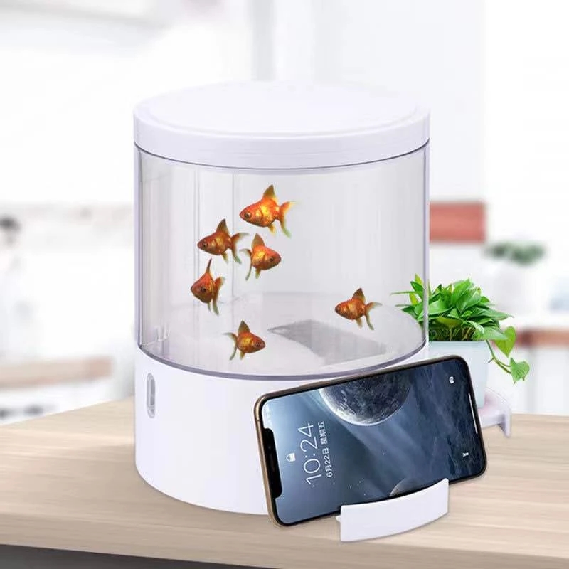 Yuvarlak renkli ışıklar masaüs - Aquarium Fish Goldfish incelemesi ve fiyatı