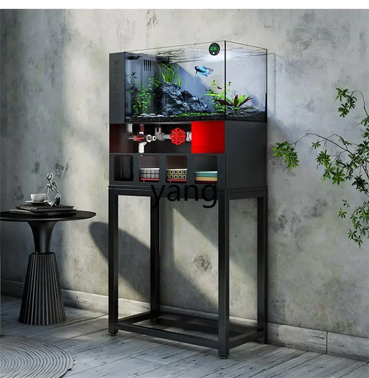 Lhh oturma odası küçük balık t - Aquarium Fish Goldfish incelemesi ve fiyatı