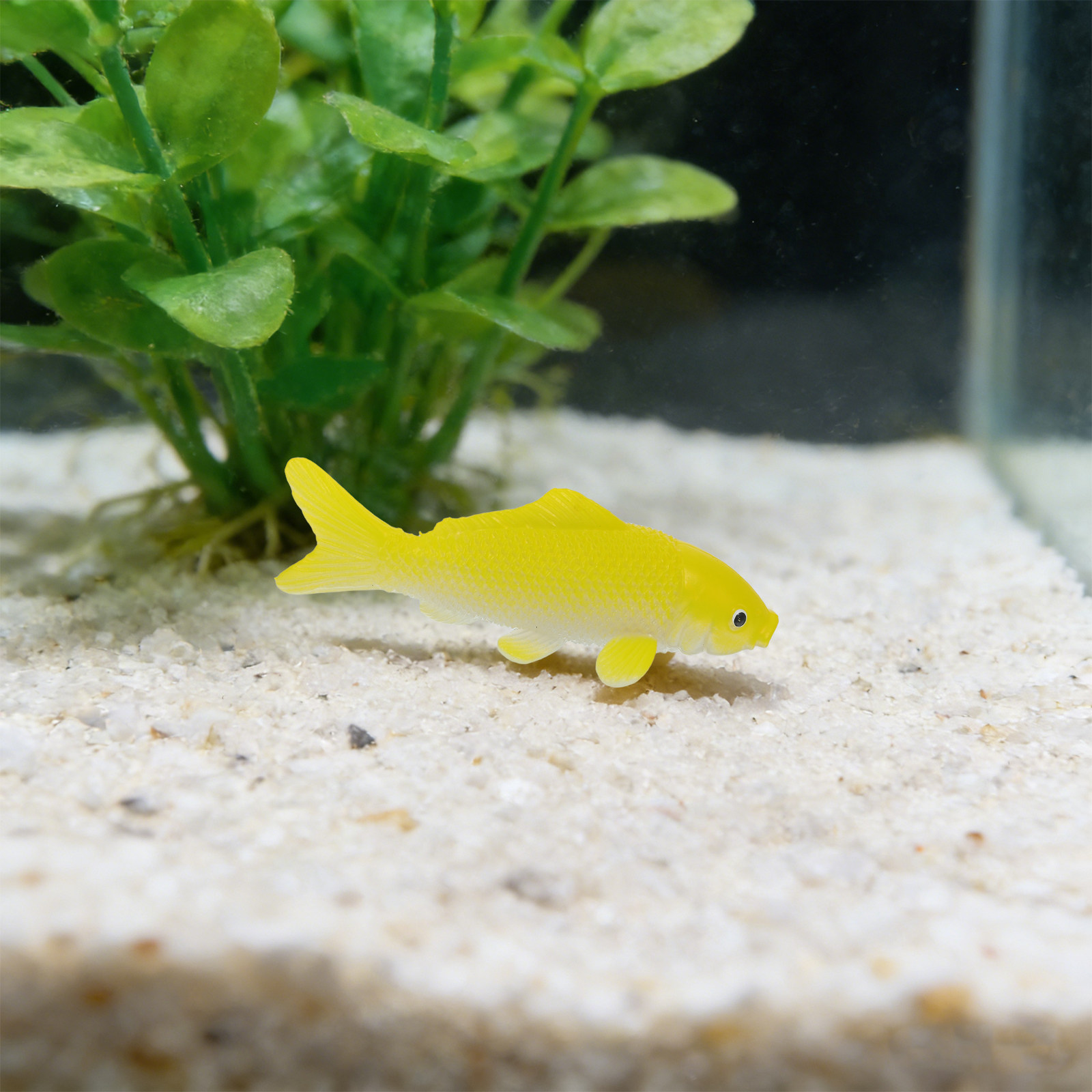 3 adet Balık El Sanatları Oyun - Aquarium Fish Goldfish incelemesi ve fiyatı