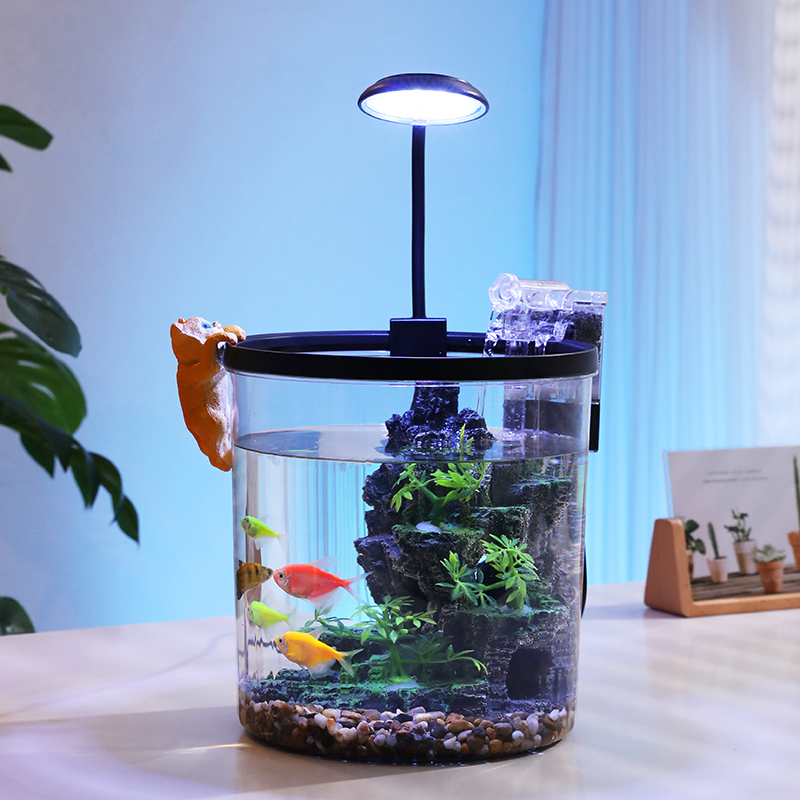 Kompakt Yuvarlak Japon Balığı  - Aquarium Fish Goldfish incelemesi ve fiyatı