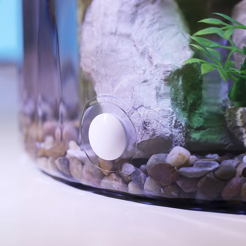 Kompakt Yuvarlak Japon Balığı  - Aquarium Fish Goldfish incelemesi ve fiyatı