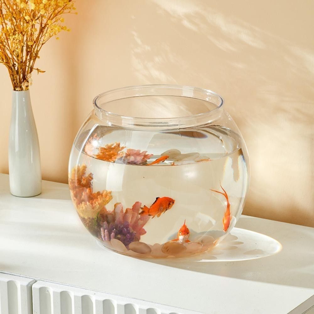 Taşınabilir Şeffaf Balık Tankı - Aquarium Fish Goldfish incelemesi ve fiyatı