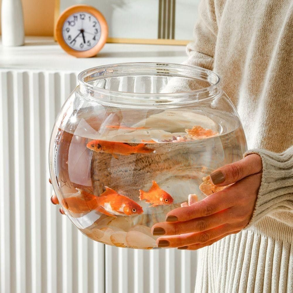 Taşınabilir Şeffaf Balık Tankı - Aquarium Fish Goldfish incelemesi ve fiyatı