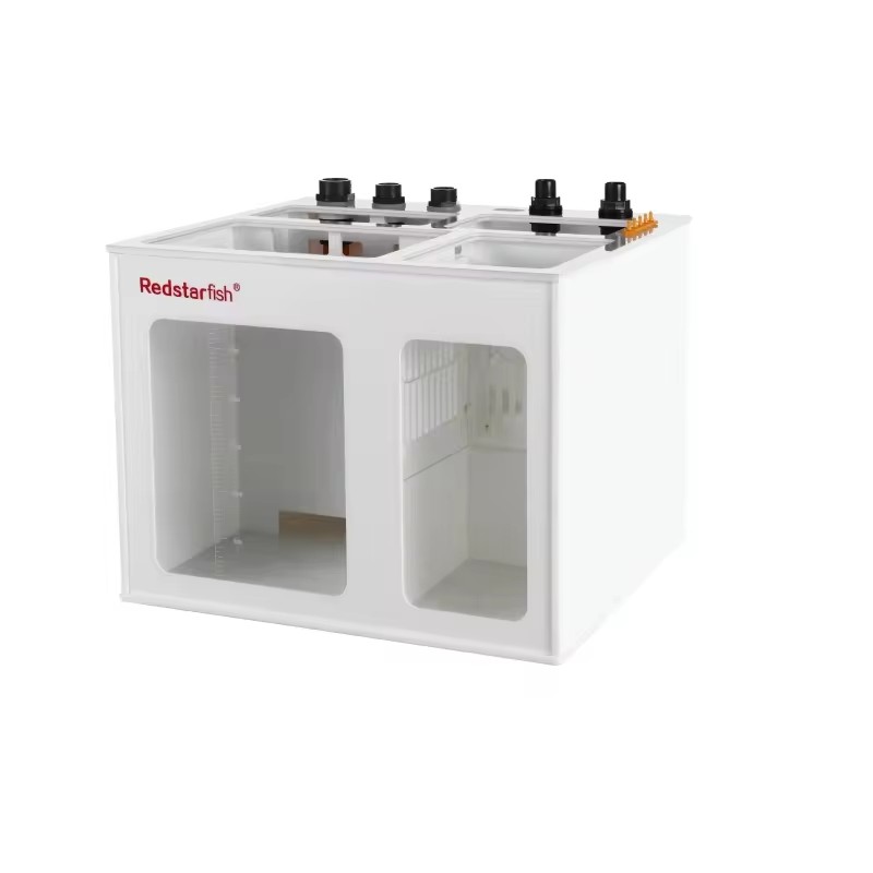 HOTRed Deniz Yıldızı OEM LOGO  - Aquarium Fish Logo incelemesi ve fiyatı