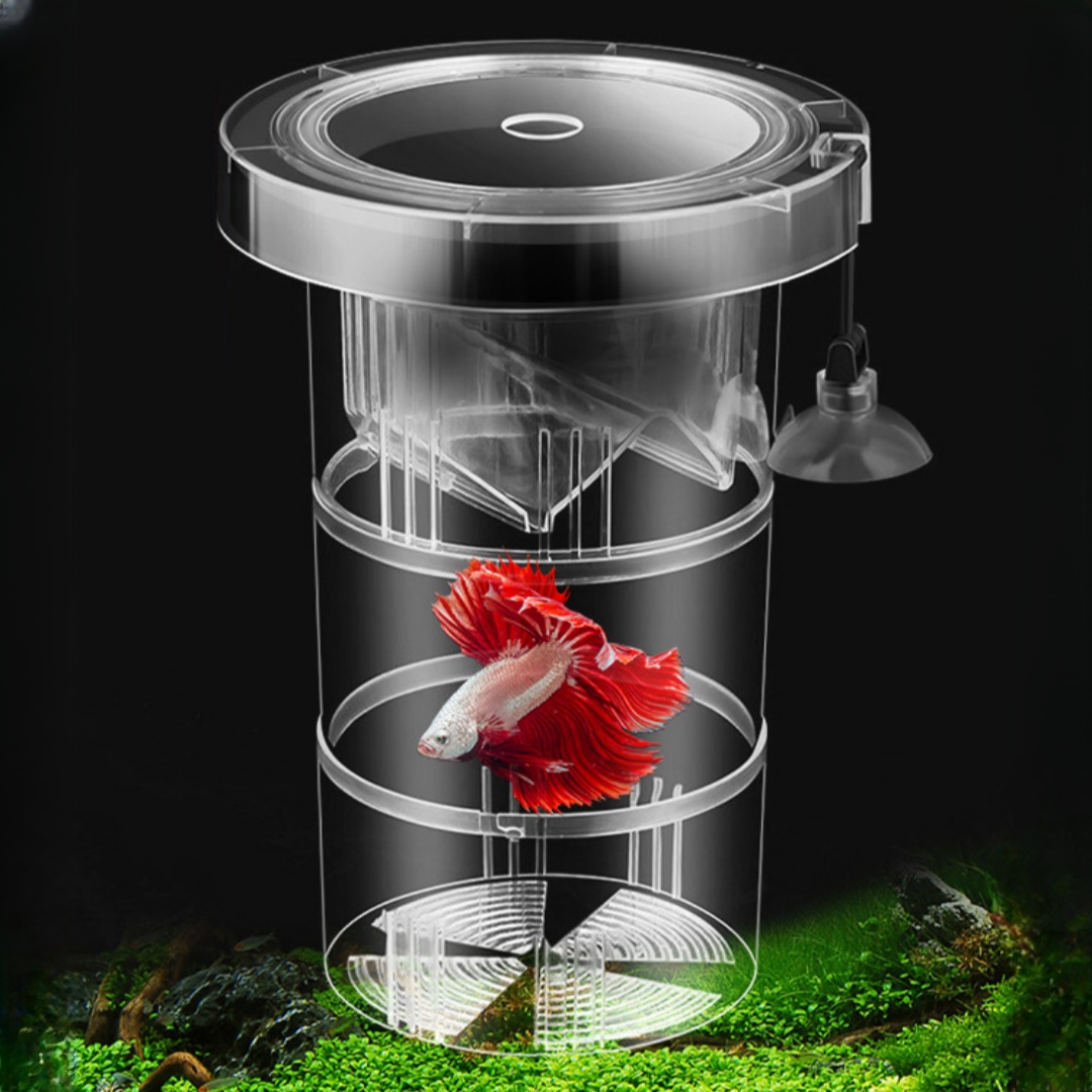Akrilik Yüzen Balık Yetiştirme - Aquarium Fish Marine incelemesi ve fiyatı