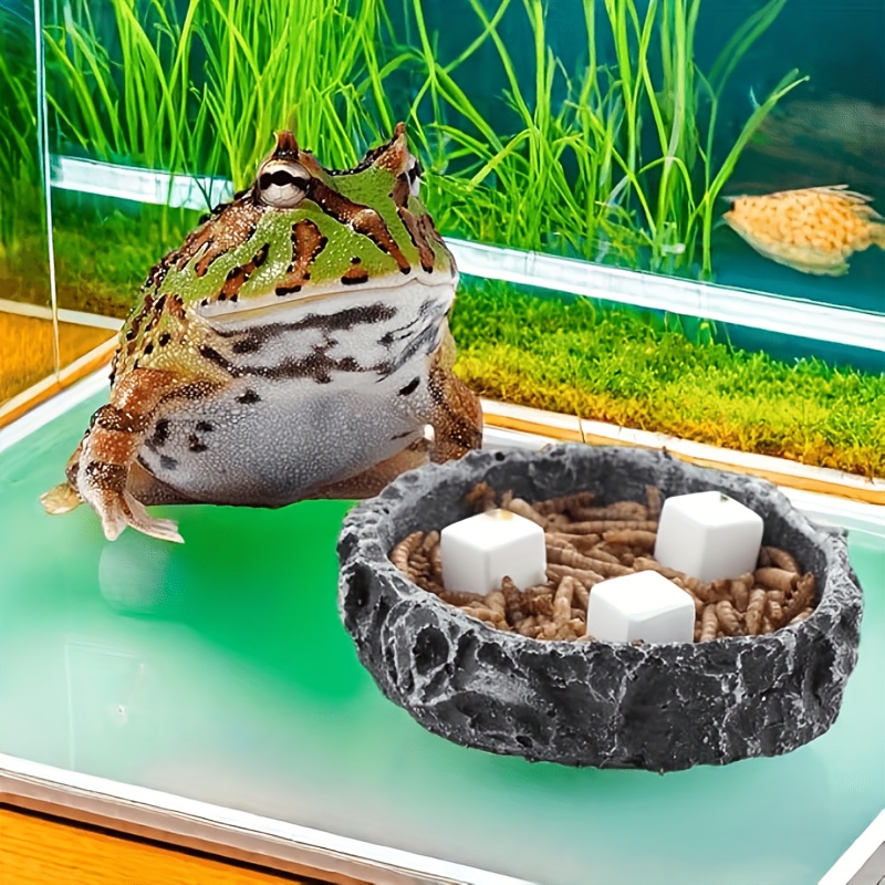 6 Adet Balık Tankı Kalsiyum Bl - Aquarium Fish Lego incelemesi ve fiyatı