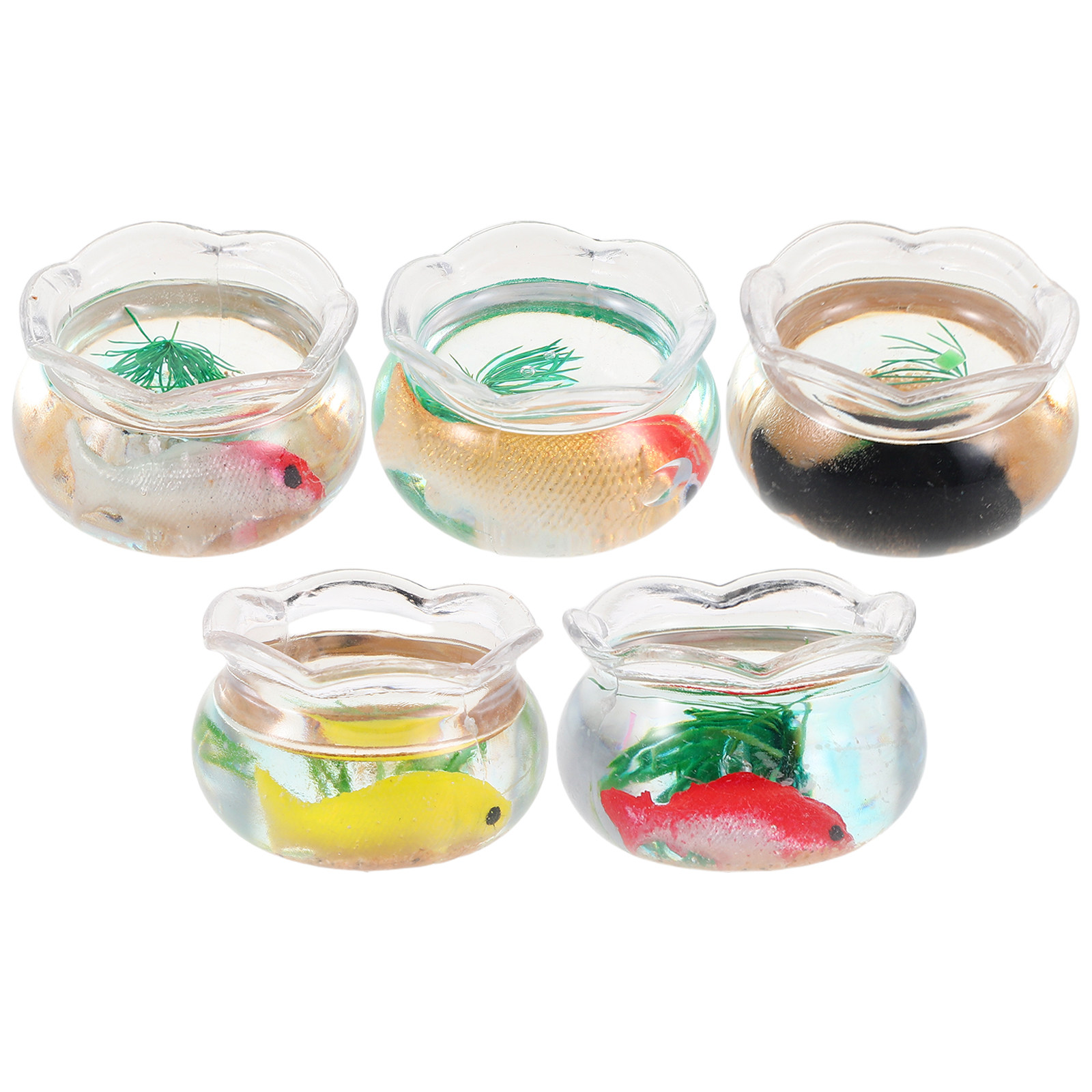 5 Adet Mini Balık Akvaryumu Kü - Aquarium Fish Goldfish incelemesi ve fiyatı