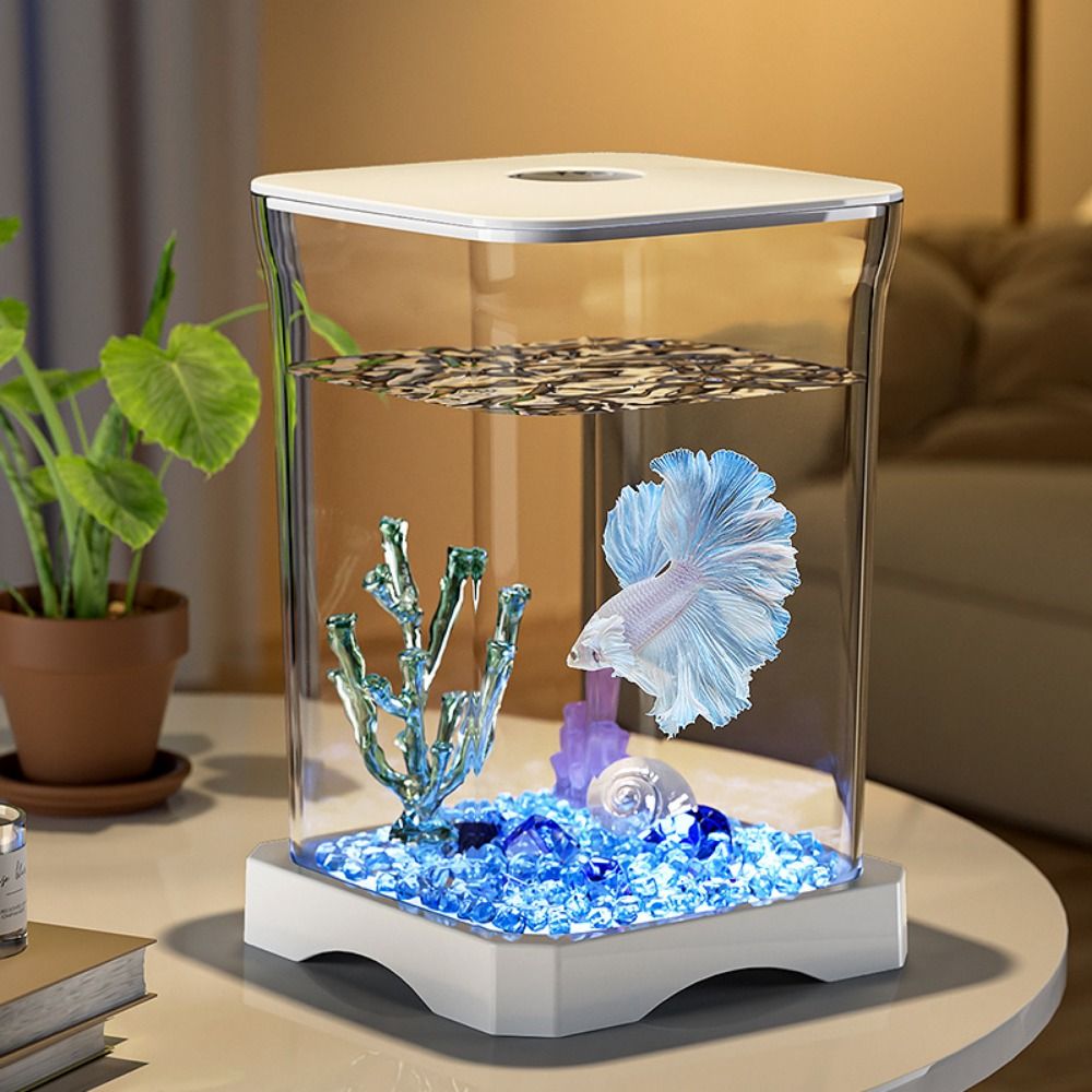 Akrilik Betta Balık Tankı Yüks - Aquarium Fish Goldfish incelemesi ve fiyatı